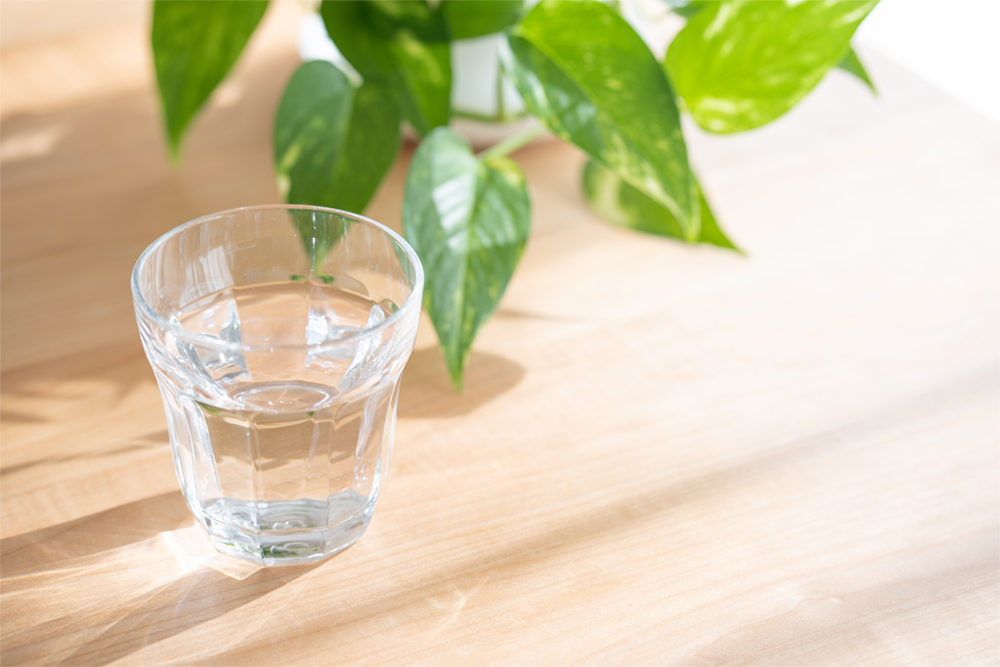 Ready to Be Grateful