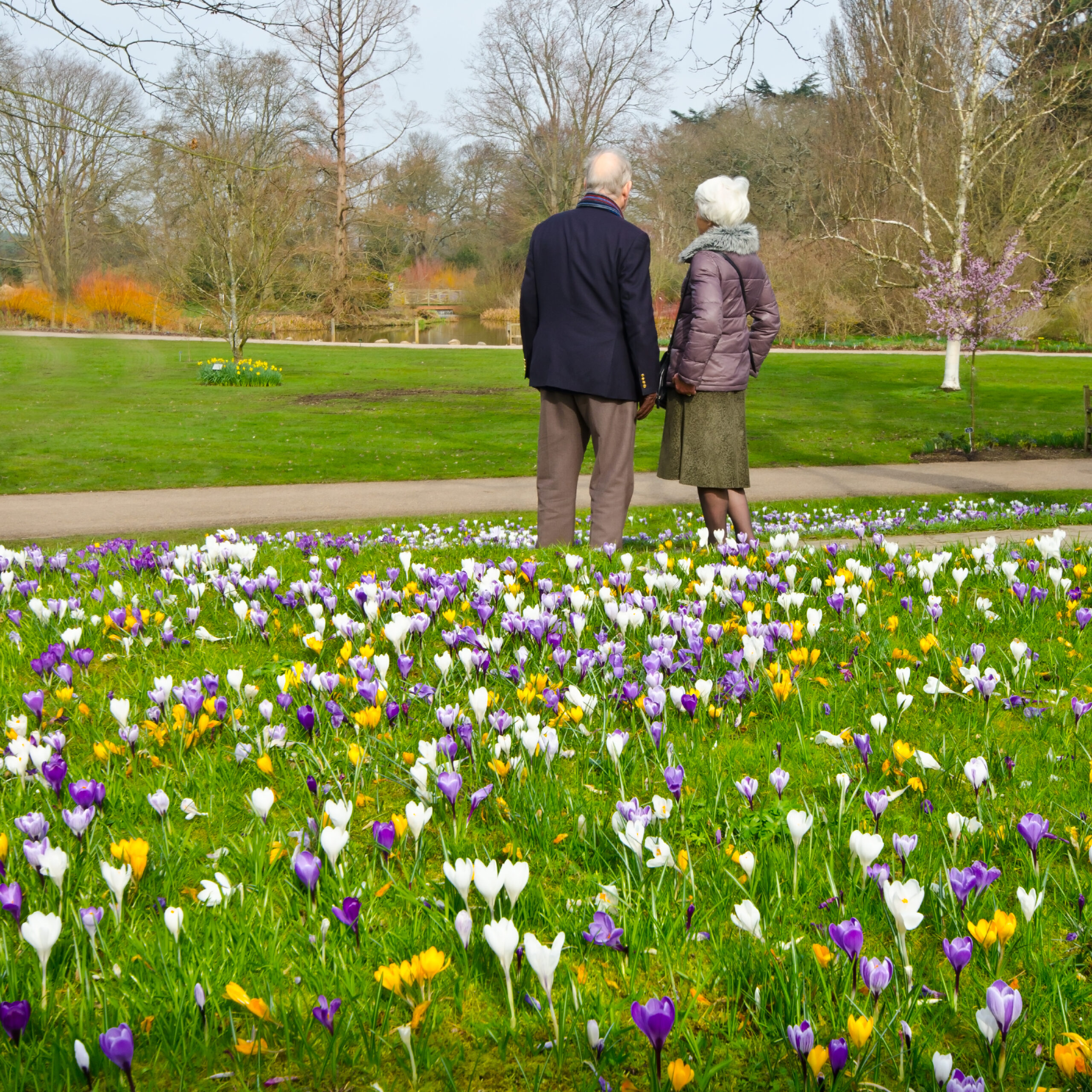 The Four Basic Afflictions